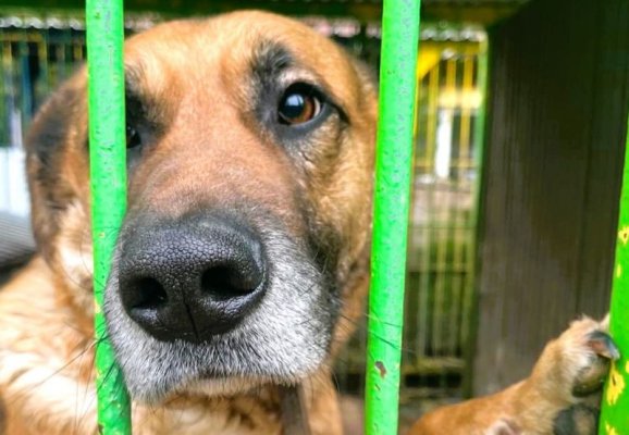 Sejmik Mazowsza pomaga bezdomniakom! 