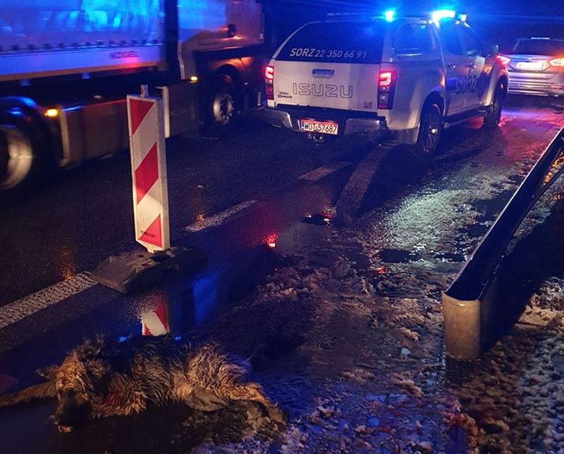 Fot. Facebook.com, Witek Wysocki