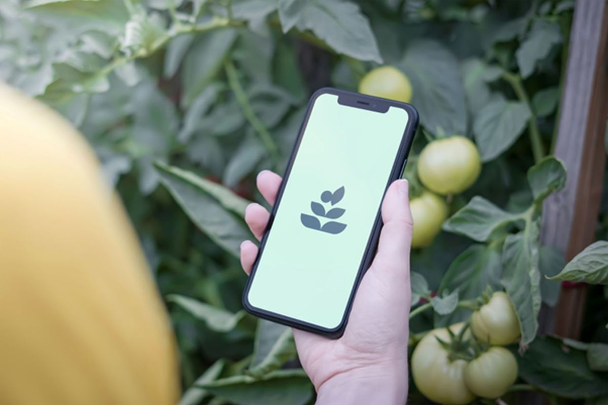 Fot. materiały prasowe