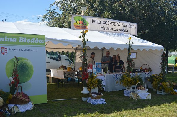Dożynki Powiatu Grójeckiego 2021