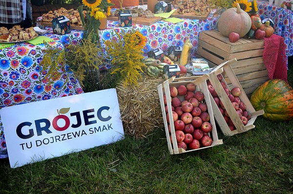 Dożynki Powiatu Grójeckiego 2021