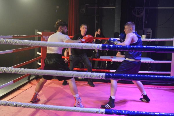 Gala sztuk walki Marceli Team Fight Night IX
