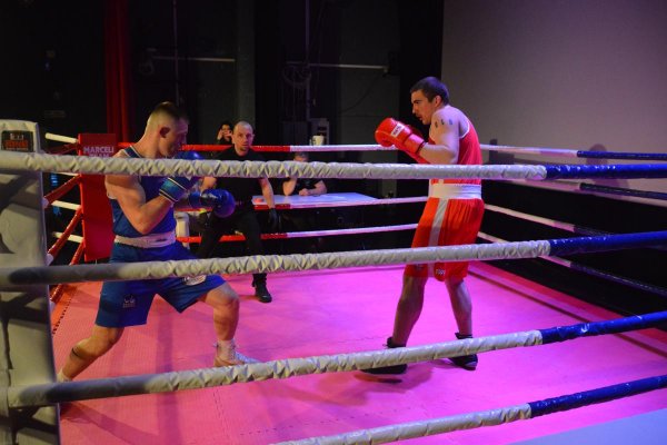 Gala sztuk walki Marceli Team Fight Night IX