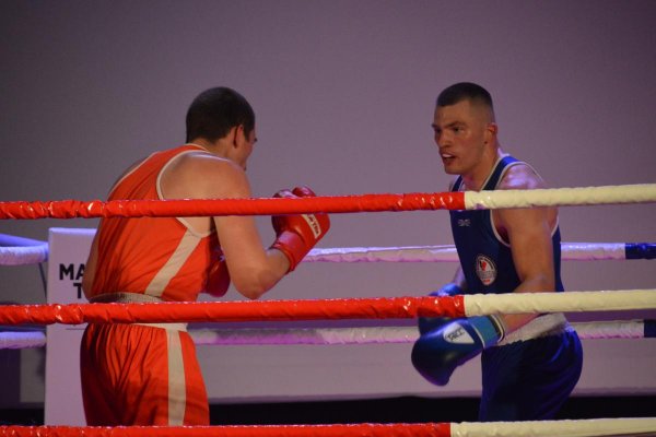 Gala sztuk walki Marceli Team Fight Night IX