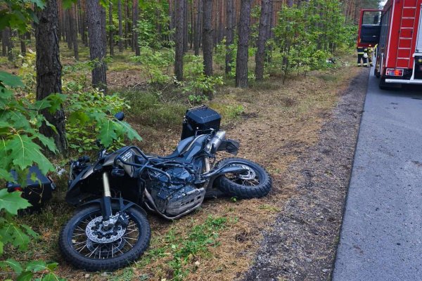 Zderzenie motocyklisty z łosiem. Na miejscu wypadku lądował helikopter LPR  