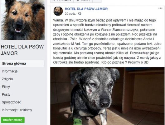 Dzielnicowa pomogła psu przymarzniętemu do chodnika