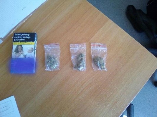 Zatrzymani za posiadanie marihuany