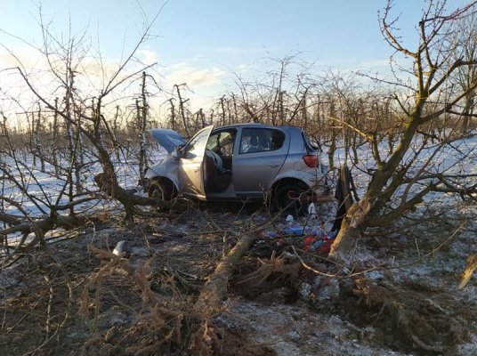 Straciła panowanie nad autem. Wpadła do sadu i staranowała drzewa