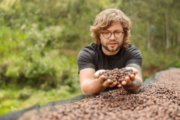Skąd pochodzi kawa, którą pijesz? Droga ziarna od plantacji do filiżanki