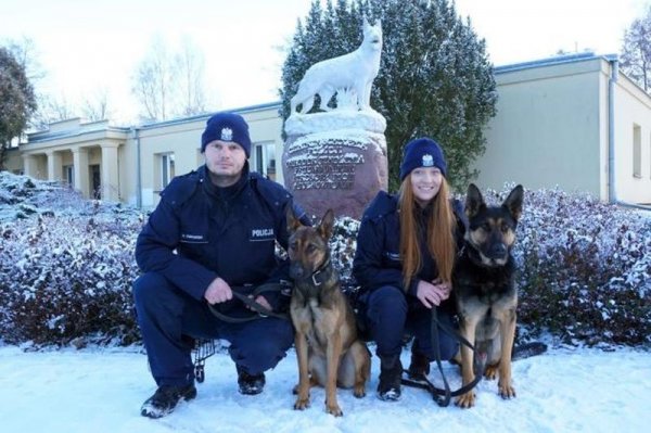 23-latek miał 3 promile i jechał autem. Zatrzymali go policjanci po służbie