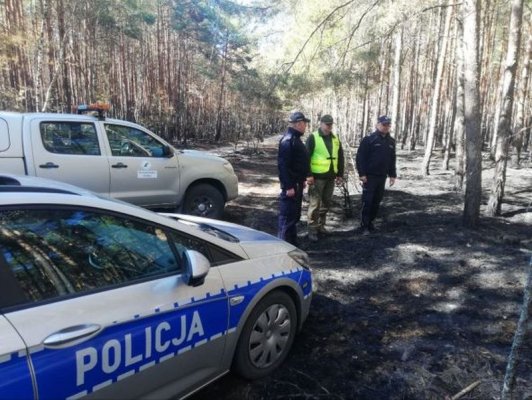 Straż Leśna i Policja organizują łączone patrole w Nowym Mieście nad Pilicą