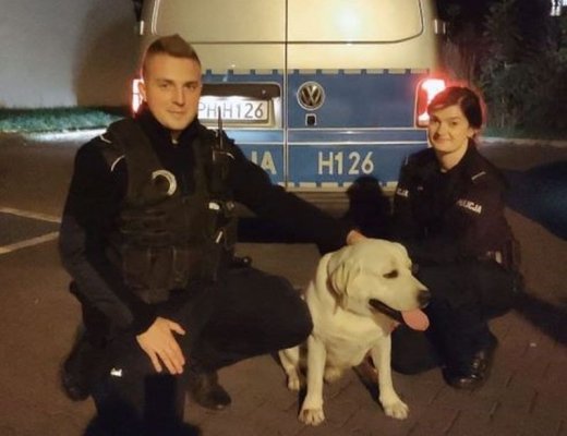 Dzięki pomocy policjantów pies wrócił do właścicieli