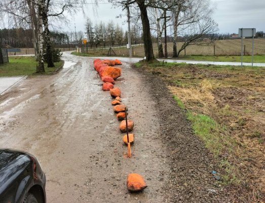 Nietypowa sytuacja na drodze w gminie Jasieniec