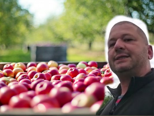 Bustowski do sadowników z Grójca: wsadźcie sobie te jabłka…