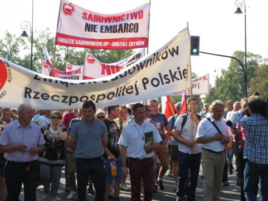 Sadownicy będą protestować z Agrounią. Piszą o apogeum bezczelności