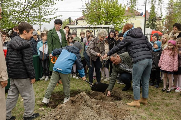 Symboliczne sadzenie drzew przy Szkole Podstawowej nr 1 w Grójcu