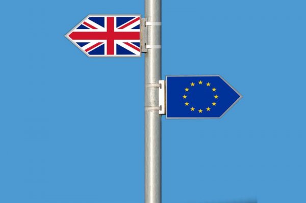 W jaki sposób Brexit wpłynie na polskich sadowników?