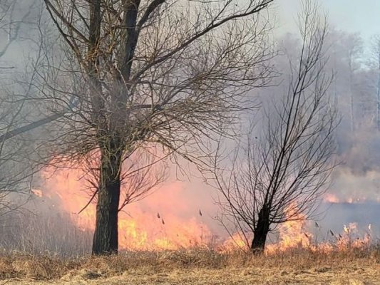 14-latek na wagarach podpalił trawę. Trafi za to przed sąd rodzinny
