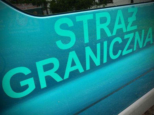 Pracowali „na czarno” w sadzie