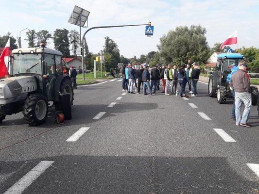 Protest AgroUnii i sadowników. Blokady w Kozietułach i Czaplinku