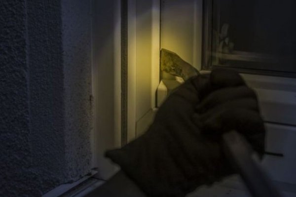 Właściciel nakrył włamywacza