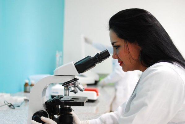 Badanie mikrobiologiczne żywności