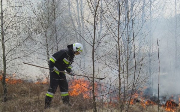 Apel Straży Pożarnej w Grójcu