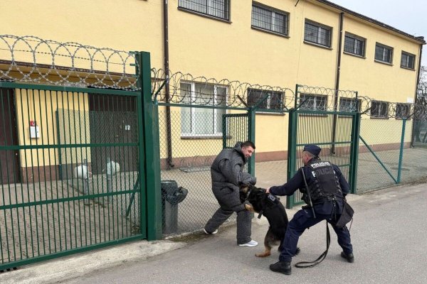 Ćwiczenia prowokacyjne w jednostce wojskowej w Grójcu. To był popis Pogody!