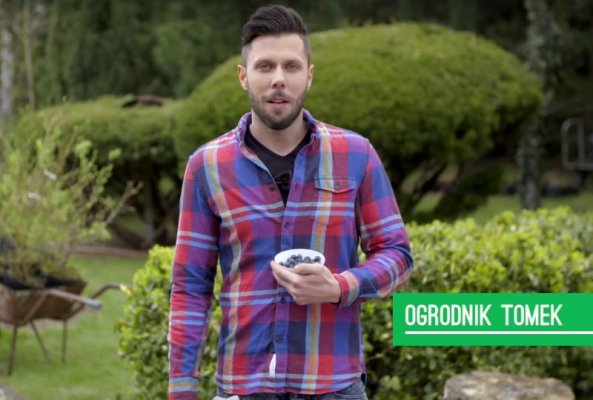 Jak sadzić borówkę amerykańską? (VIDEO)