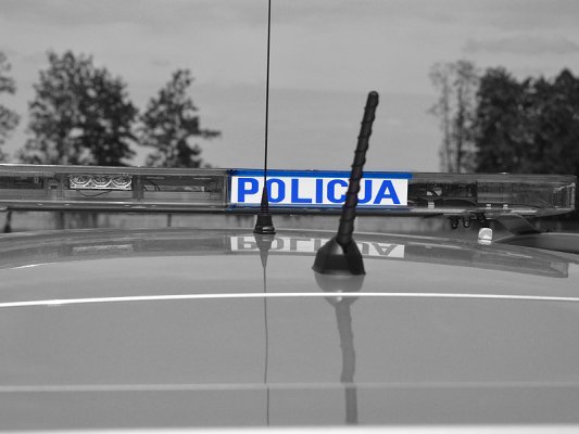 Amatorzy krótkich spodenek
