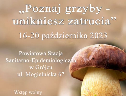 Poznaj grzyby – unikniesz zatrucia