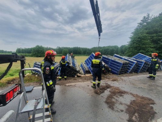 Ciężarówka wylądowała w rowie. Zginęło nawet kilka tysięcy kur
