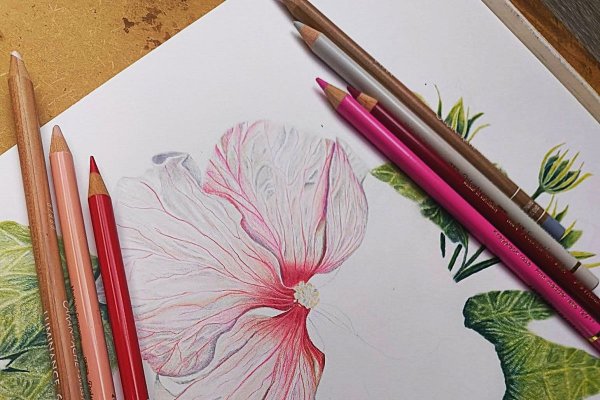 Wyjątkowe Warsztaty Rysunku Botanicznego  w Grójeckiej Stacji Kultury 