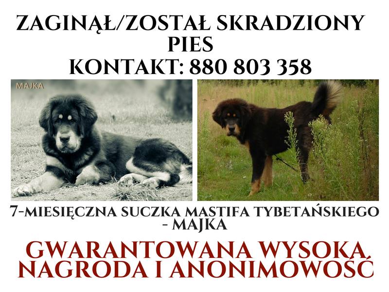 Tel 880 803 358