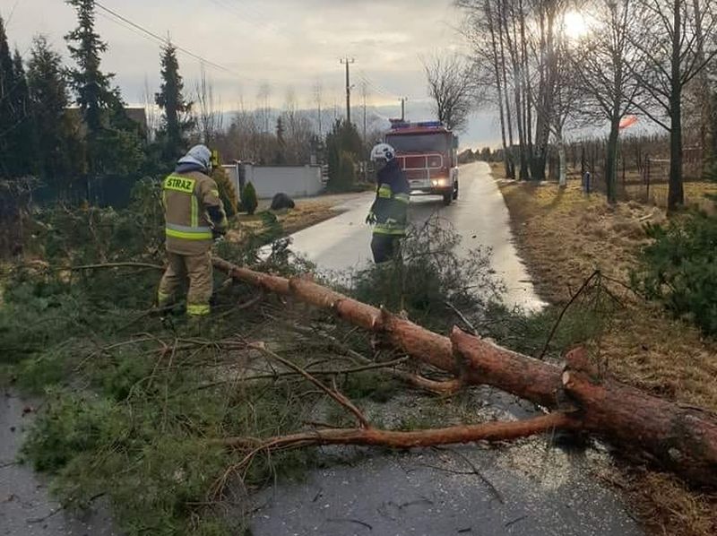 Fot. Jednostki OSP - Facebook