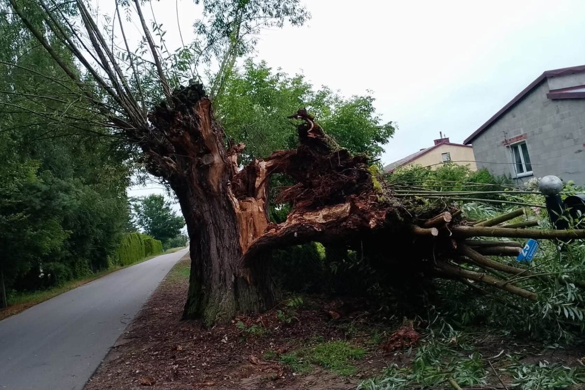 Fot. Komenda Powiatowa Państwowej Straży Pożarnej w Grójcu