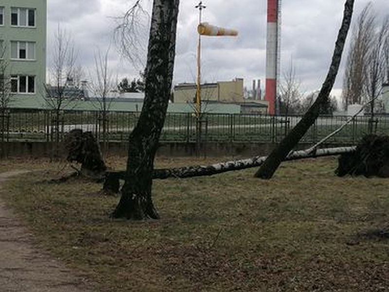 Zdjęcie nadesłane przez Czytelnika