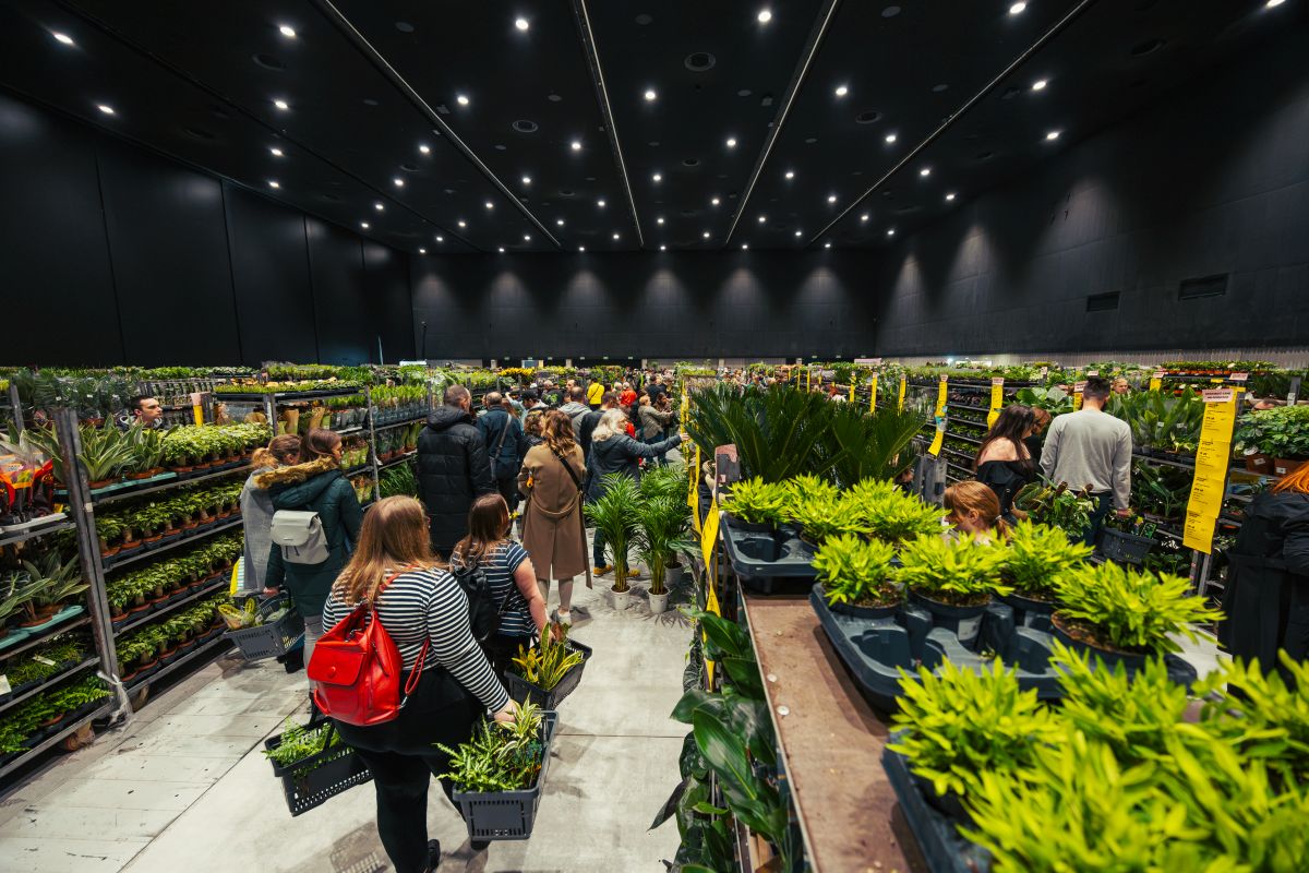 Fot. materiały prasowe