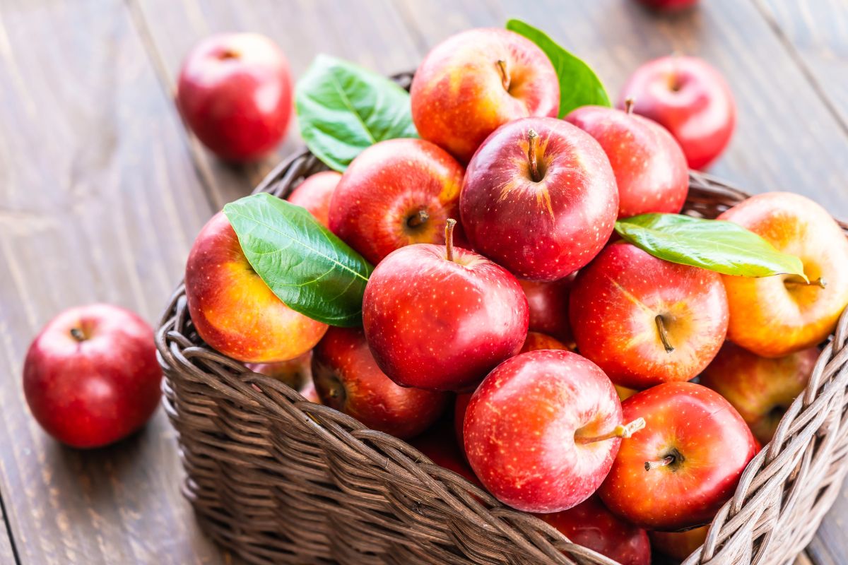 Jabłka