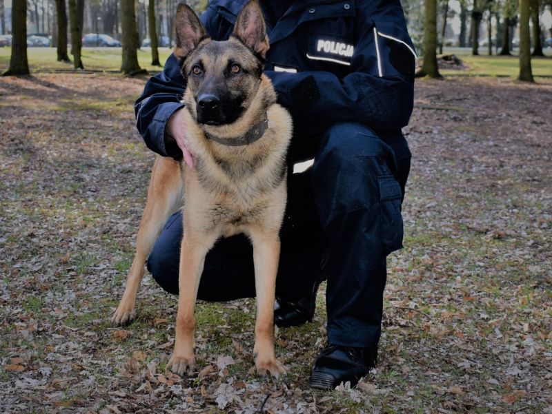 Fot. Mazowiecka Policja