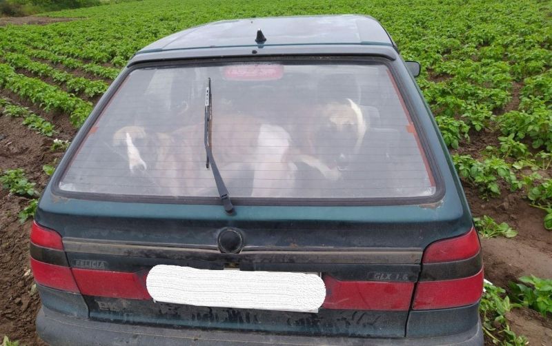 Fot. KPP w Grójcu