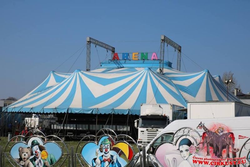 Cyrk Arena (fot. materiały prasowe)